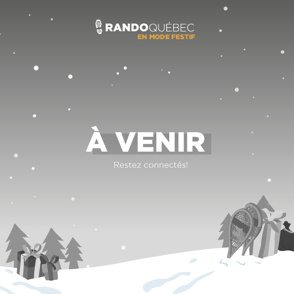 Plan de travail 5 copie 11