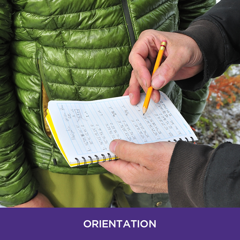 Orientation