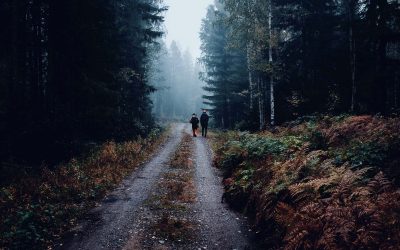 La randonnée en période de chasse