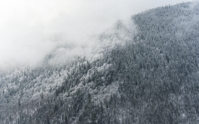 Nouvelle image pour la revue Rando Québec