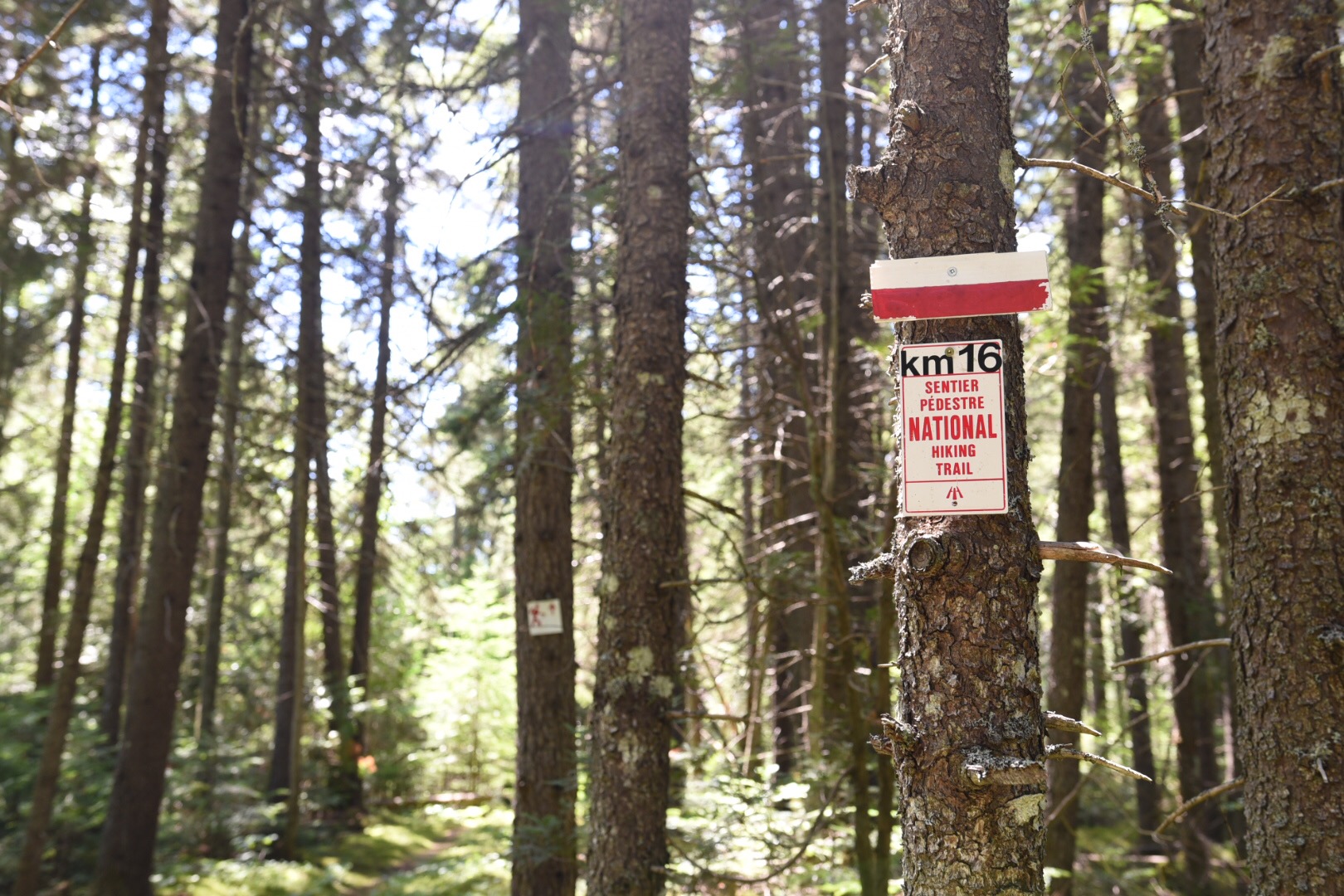 Sentier national Mauricie