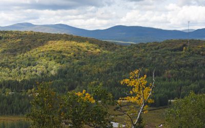 Milieux naturels de proximité : un effort supplémentaire nécessaire pour rapprocher la nature de la population dans le sud du Québec