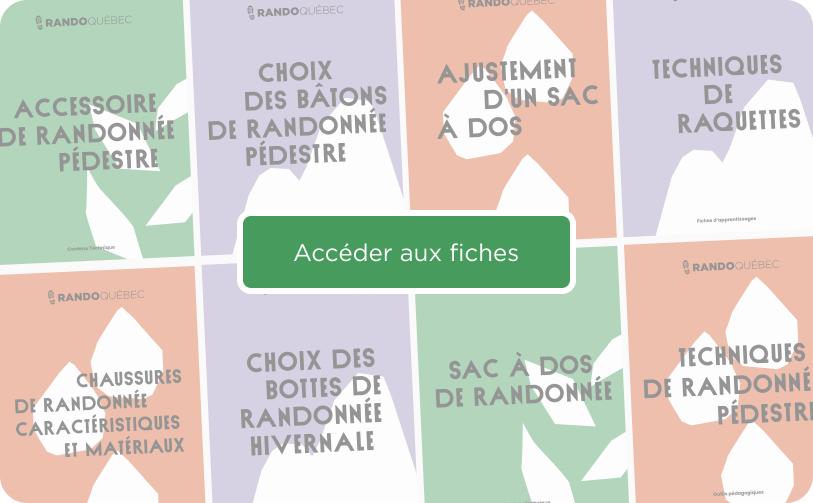 Accéder aux fiches