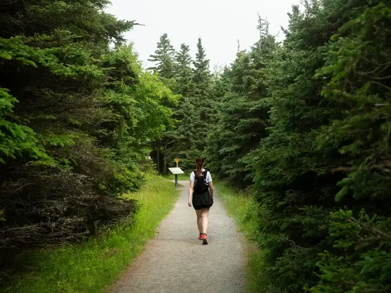 Randonneuse dans le forêt au Parc national du Bic dans le Bas-Saint-Laurent