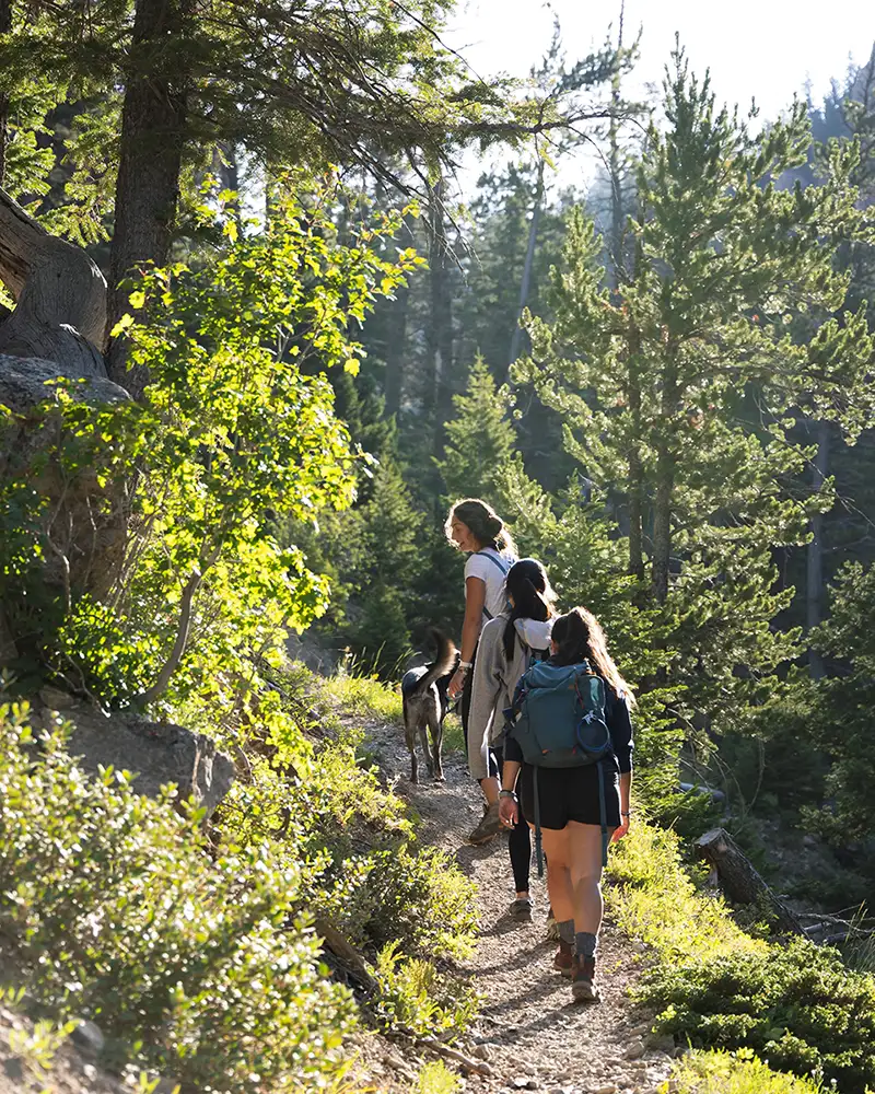 Randonneuses avec un chien dans le bois