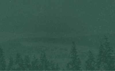 Appel de candidatures 2026 – Conseil d’administration de Rando Québec